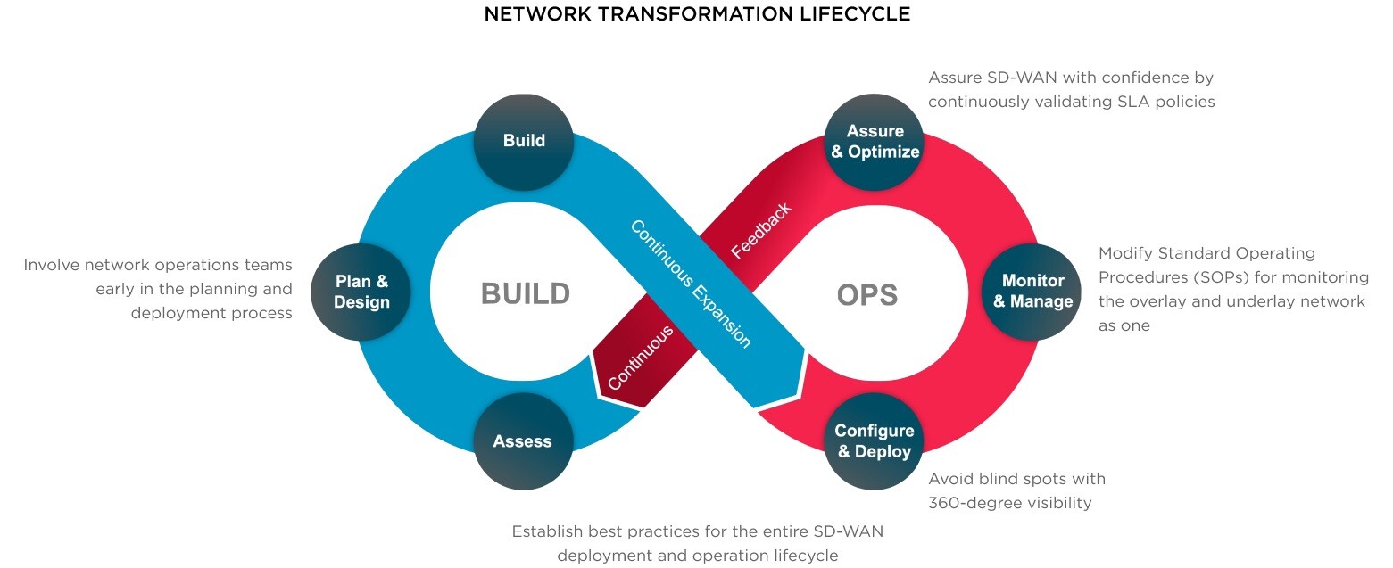 lifecycle-graphic-2